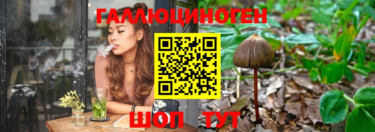 Мыски  Галлюциногенные грибы Psilocybe  Вход с VPN  Псилоцибиновые грибы мухоморы 