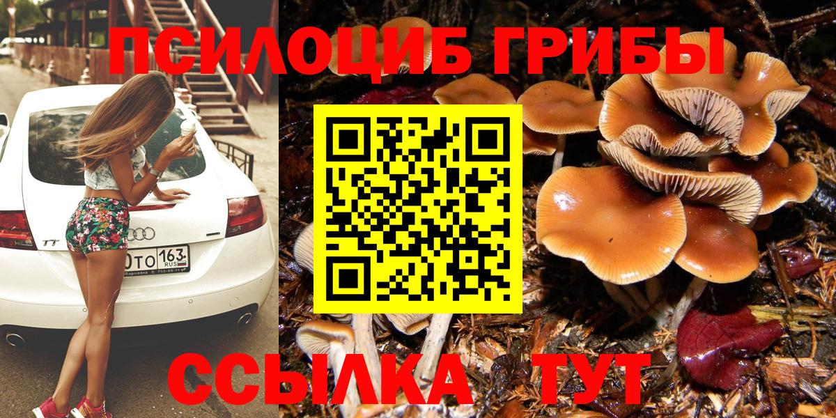 Псилоцибиновые грибы GOLDEN TEACHER Мыски